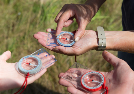 Compass