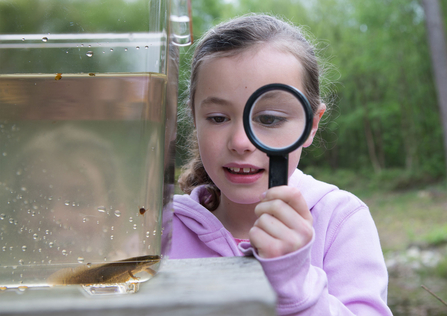 Child examining newt with magnifying glass