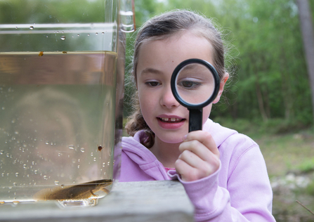Child examining newt with magnifying glass