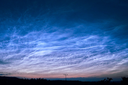 Noctilucent clouds