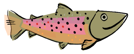 Healthy Rivers Trout