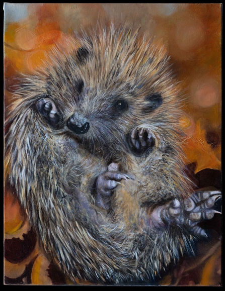 Autumn Hog by Jane Habgood