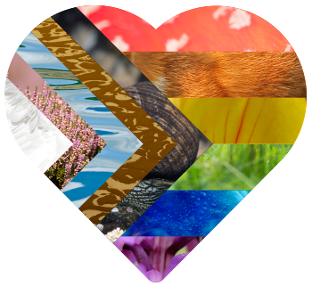 Pride heart with natural textures
