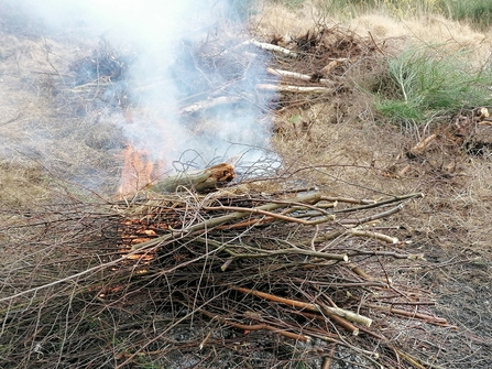Small fire of woody arisings