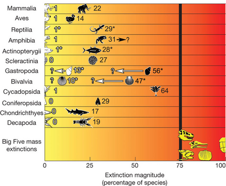 Extinction magnitudes of IUCN-assessed taxa in comparison to the 75% mass-extinction benchmark.