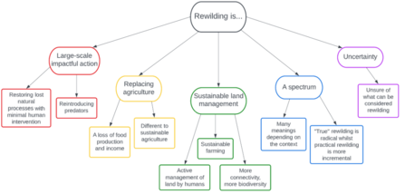 rewilding definitions thematic analysis