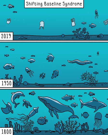 Shifting Baseline Syndrome showing different biodiversity levels in an ocean over time