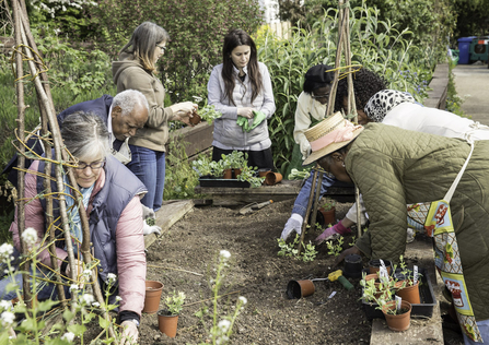 People working in a wildlife friendly garden