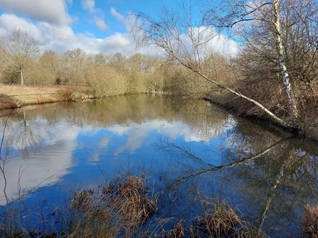 Newdigate Brickworks reserve - a landscape shot of the lake