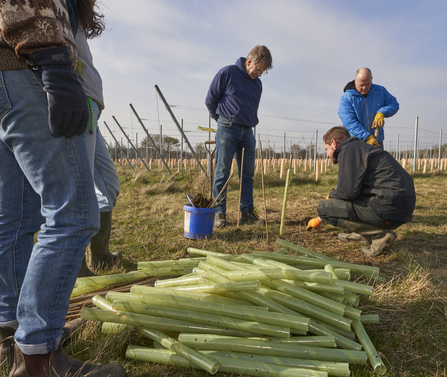 A team gather together with tools to begin planting trees.