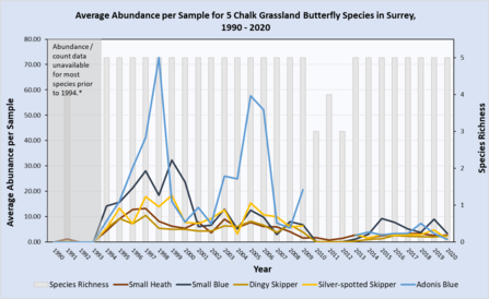 Chart of average abundance per sample for 5 Surrey butterfly species from 1990 to 2020