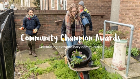 Community Champion Awards