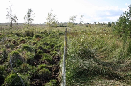 A photo illustrating the effect of grazing on the landscape