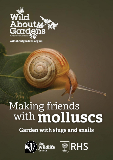 Slugs and snails booklet cover
