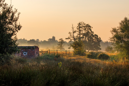 Thundry meadows