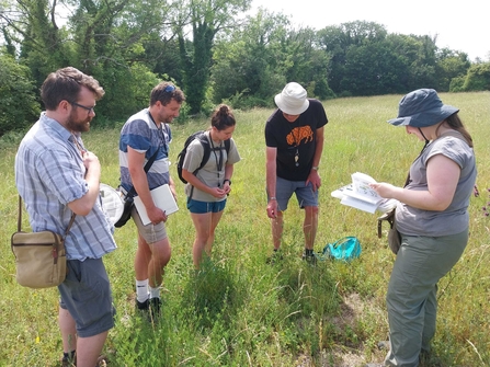 A group of staff surveying grassland