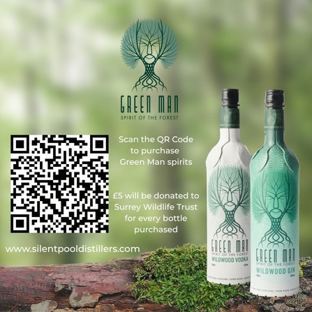 Green Man Gin offer