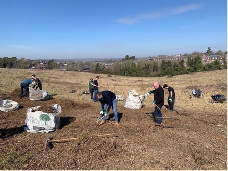 Volunteers helping to enhance the chalk grassland at Pewley Meadows nature reserve