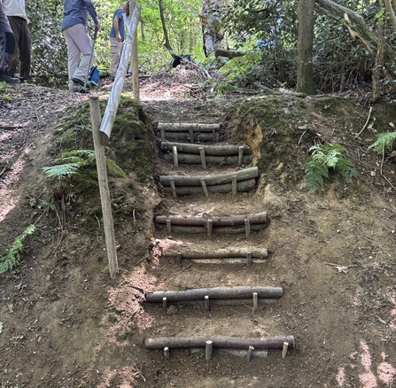 Butterfly transect steps at Graeme Hendry Woods mdde from natural materials
