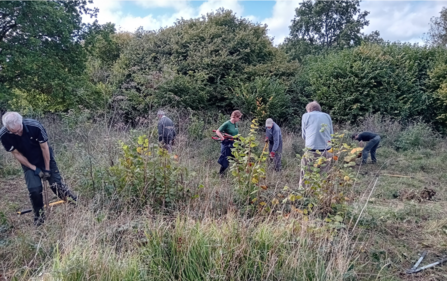 Norbury Park conservation volunteers at work removing scrub