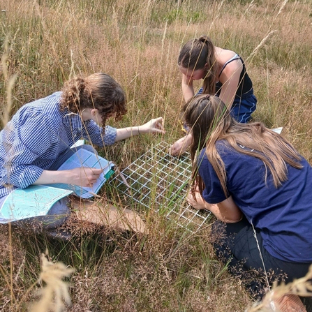 Work experience students surveying plants using a quadrat