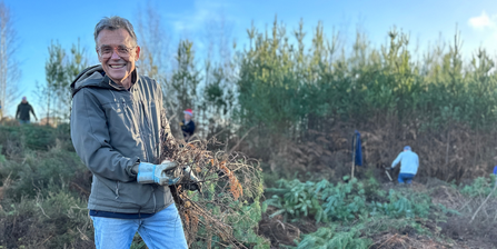 A volunteer clearing scrub at Ockham Common, holding branches of pine in his hands