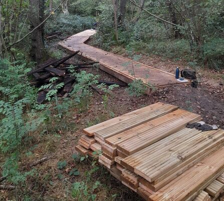 Wooden boardwalk crafted by volunteers stretching around a corner to the right, with spare planks of wood in the foreground