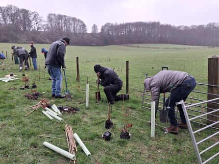 Volunteers hedge planting at Gate Street Farm