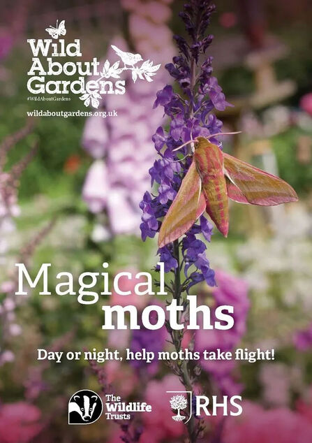 Magical Moths Wildlife Gardening Booklet