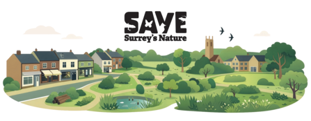 An illustration of a wildlife friendly neighbourhood 