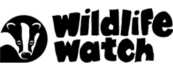 Wildlife Watch logo