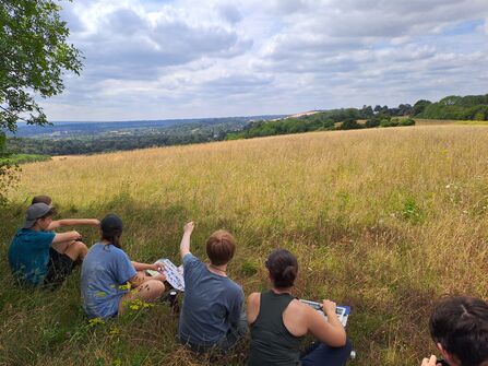 Work experience students Surveying butterflies