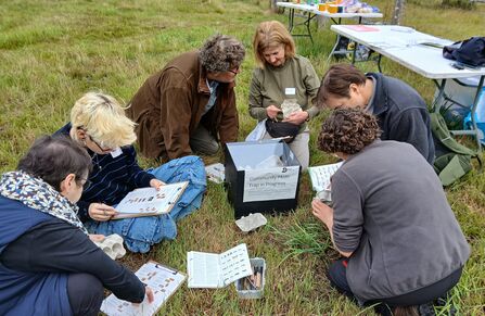 Community moth trap event 