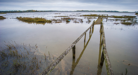 Flooded nature reserve