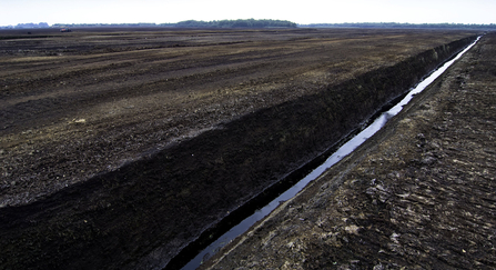 Peat extraction