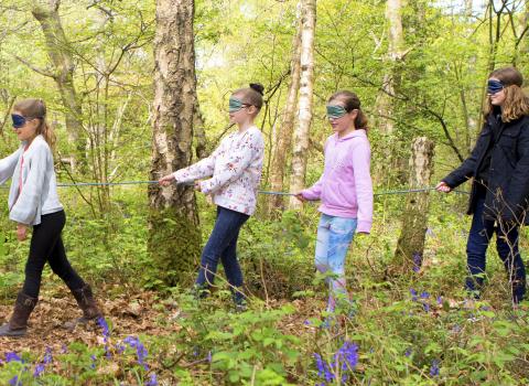 Blind fold trail birthday party at Nower Wood