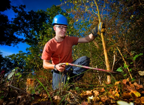 Volunteer cutting scrub