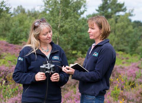 Surrey Wildlife Trust staff working on heath