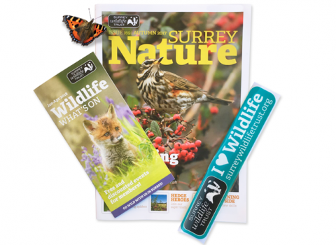 Surrey Wildlife Trust membership pack