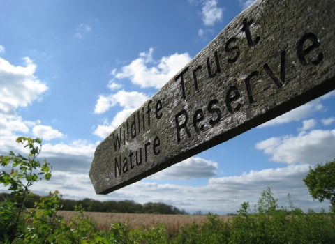 Sign post