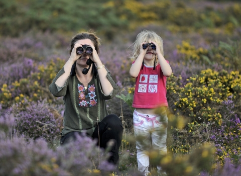 Family birdwatching on heathland