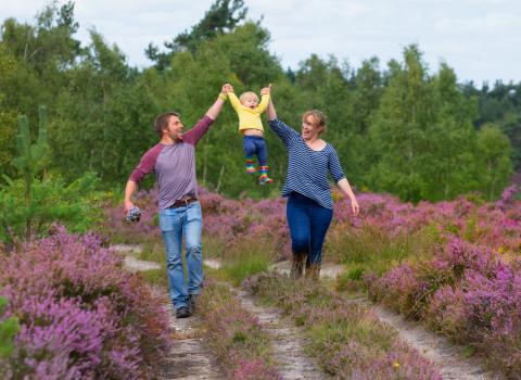 Family walk on a Surrey heathland