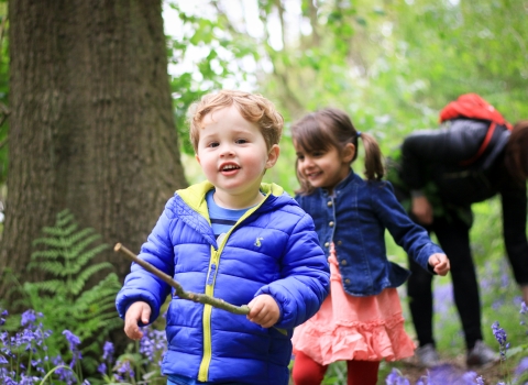Children exploring bluebell woods