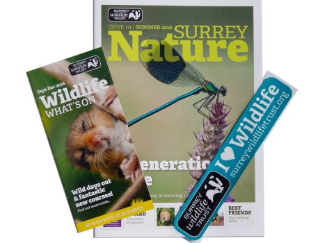 Surrey Wildlife Trust membership pack