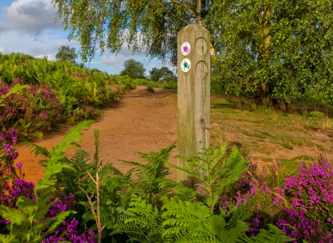 Reserve signage