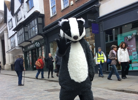 Billy the Badger on Guildford High Street