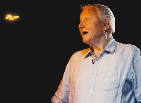 Sir David joins our call for a Nature Recovery Network