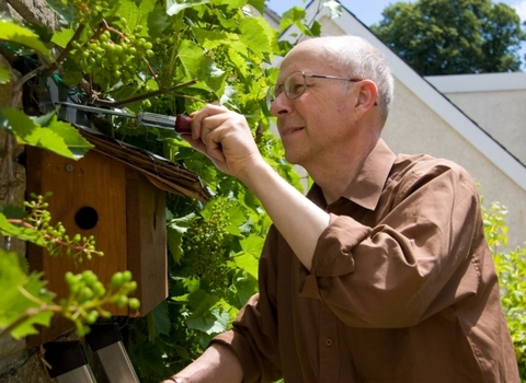 Bird box installation 