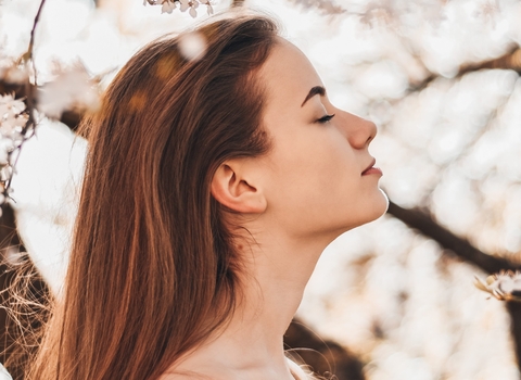 wild wellbeing