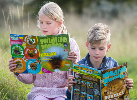 Children reading Wildlife Watch magazine